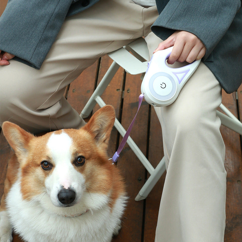 SmartLight Pet Leash & Collar Combo