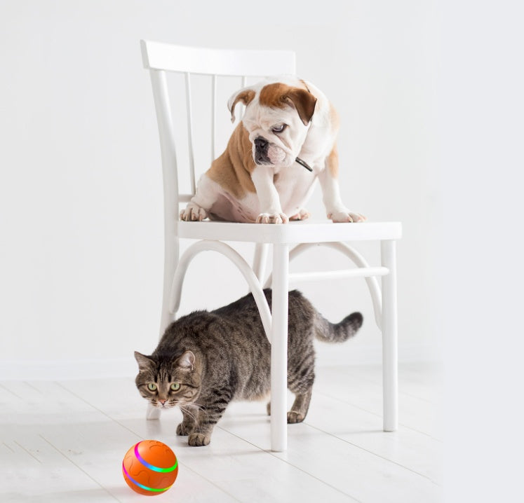WhiskerSpin – Intelligent Self-Rotating Cat Toy