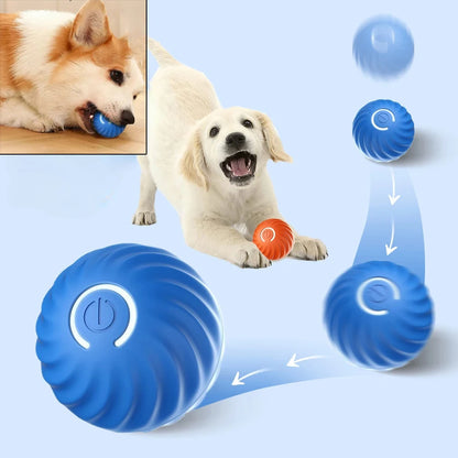 Zoomie Ball™