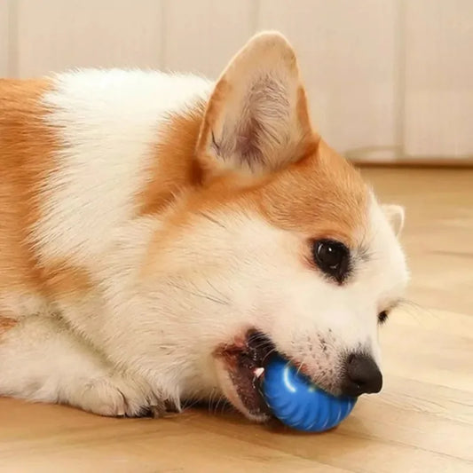 Zoomie Ball™