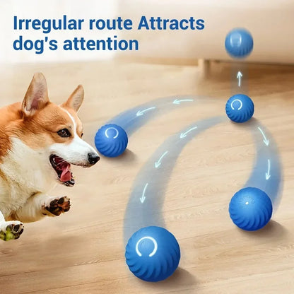 Zoomie Ball™