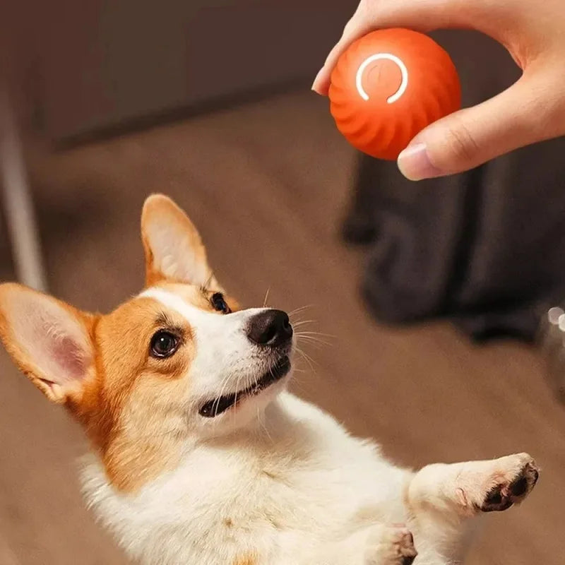 Zoomie Ball™