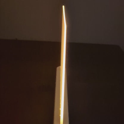 PageGlow LED Rechargeable Book Light